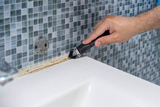 Best Black Mold Removal  in Geneva, NY